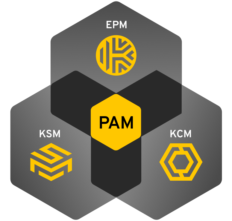 Consolidate disparate PAM tools into a unified platform