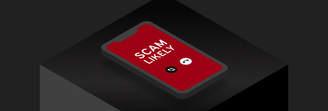 What Are Scam Calls and How Can I Stop Them?