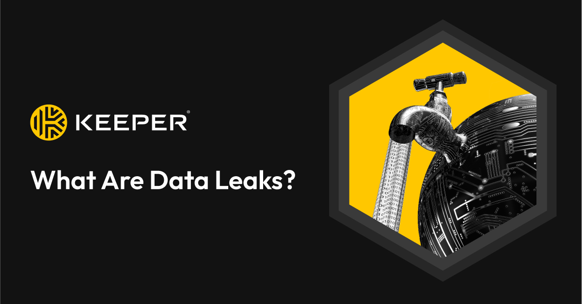 What Is a Data Leak? How They Happen and How To Prevent Them