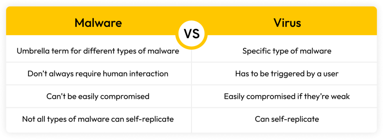 Malware vs Virus: What's the Difference? - Keeper Security